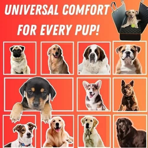 How to install the dog car seat cover with headrest anchors