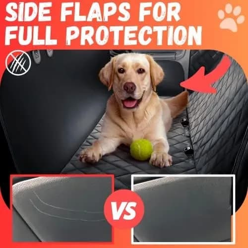 Dog sitting on the dog car seat cover in the back of a car