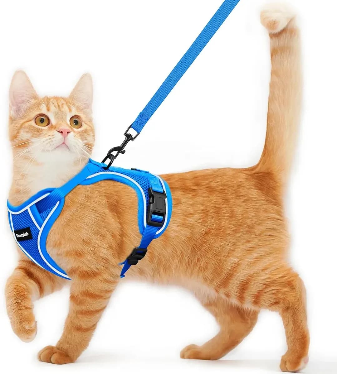 Escape-proof cat harness and leash set in blue