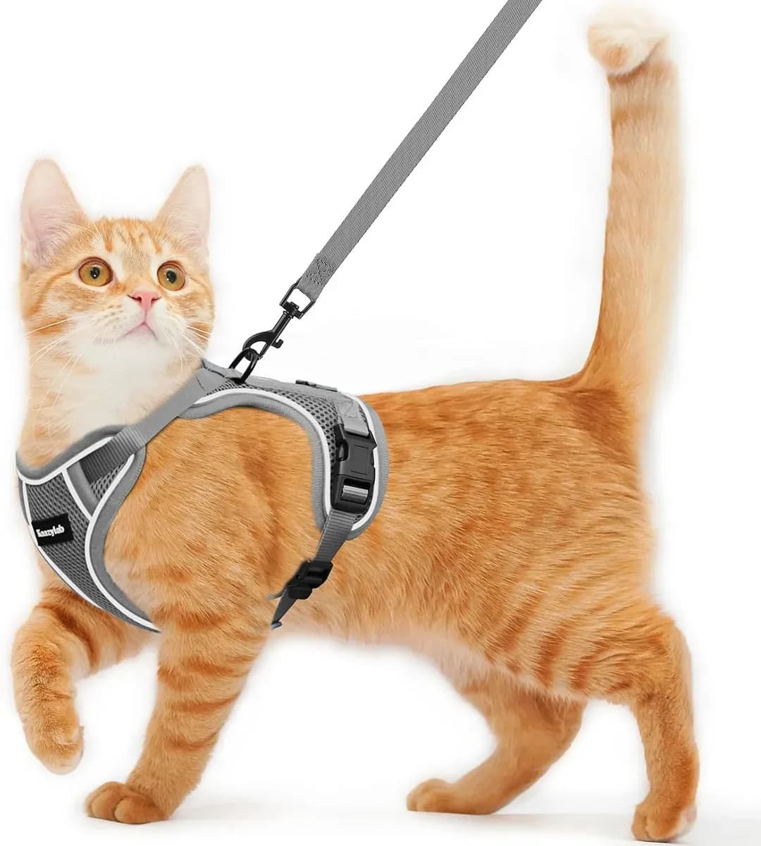 Escape-proof cat harness and leash set in grey