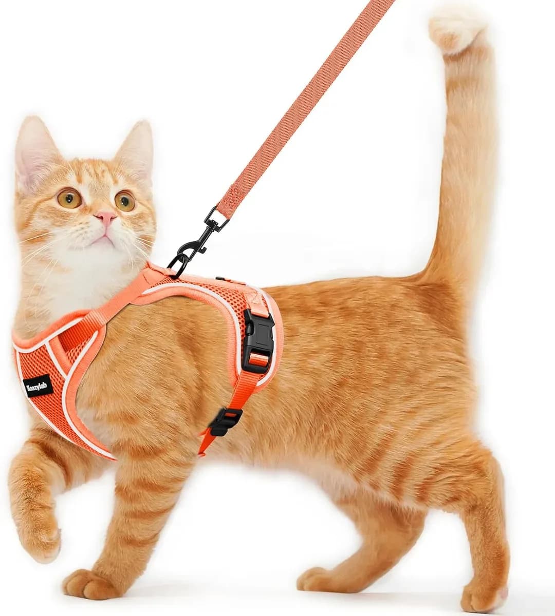 Escape-proof cat harness and leash set in orange