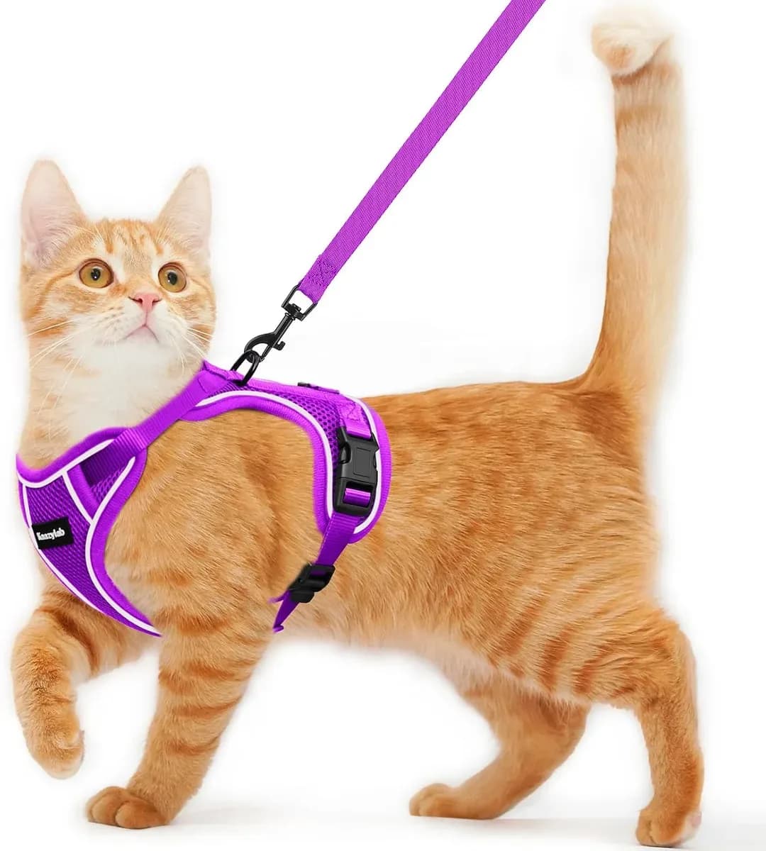 Escape-proof cat harness and leash set in purple