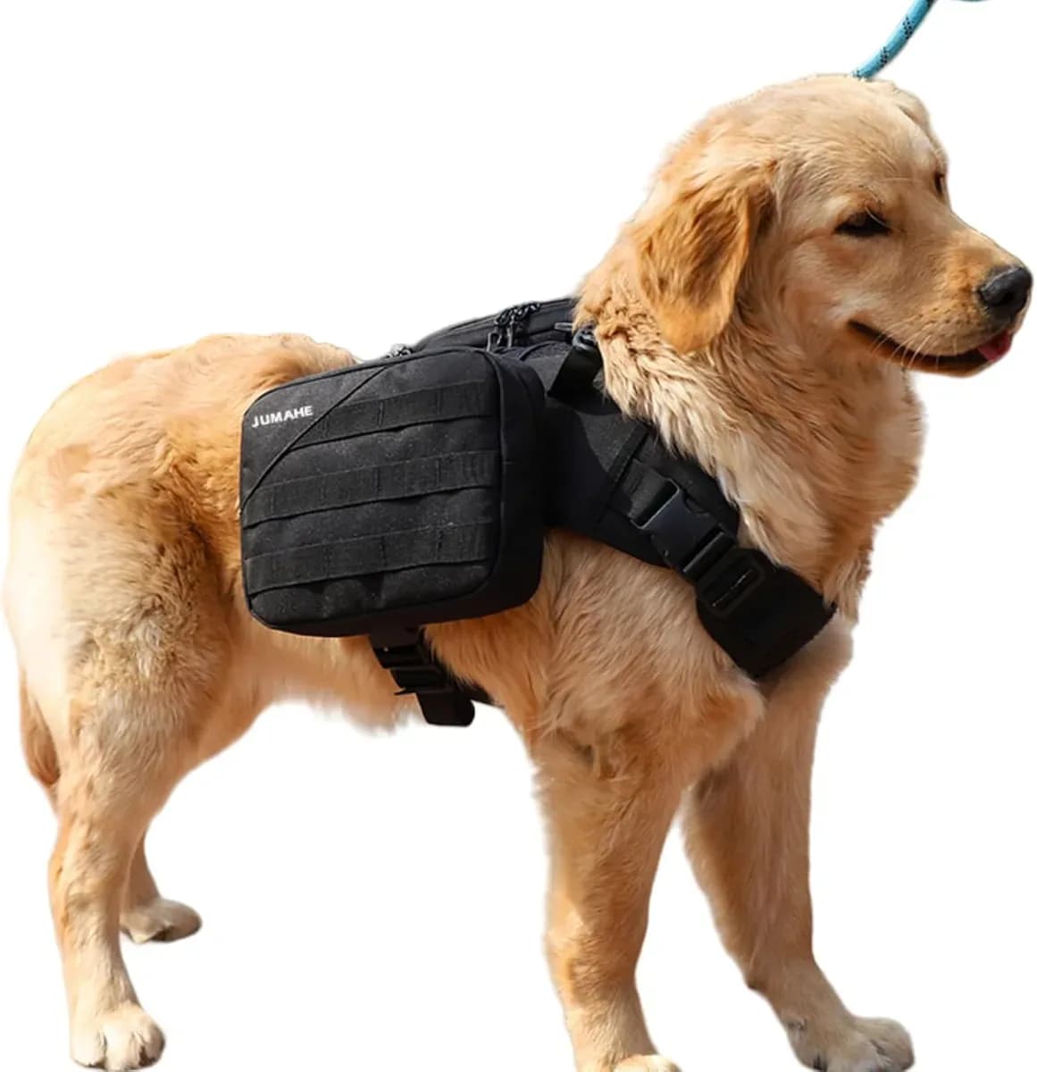 Dog hiking backpack for large dogs in black