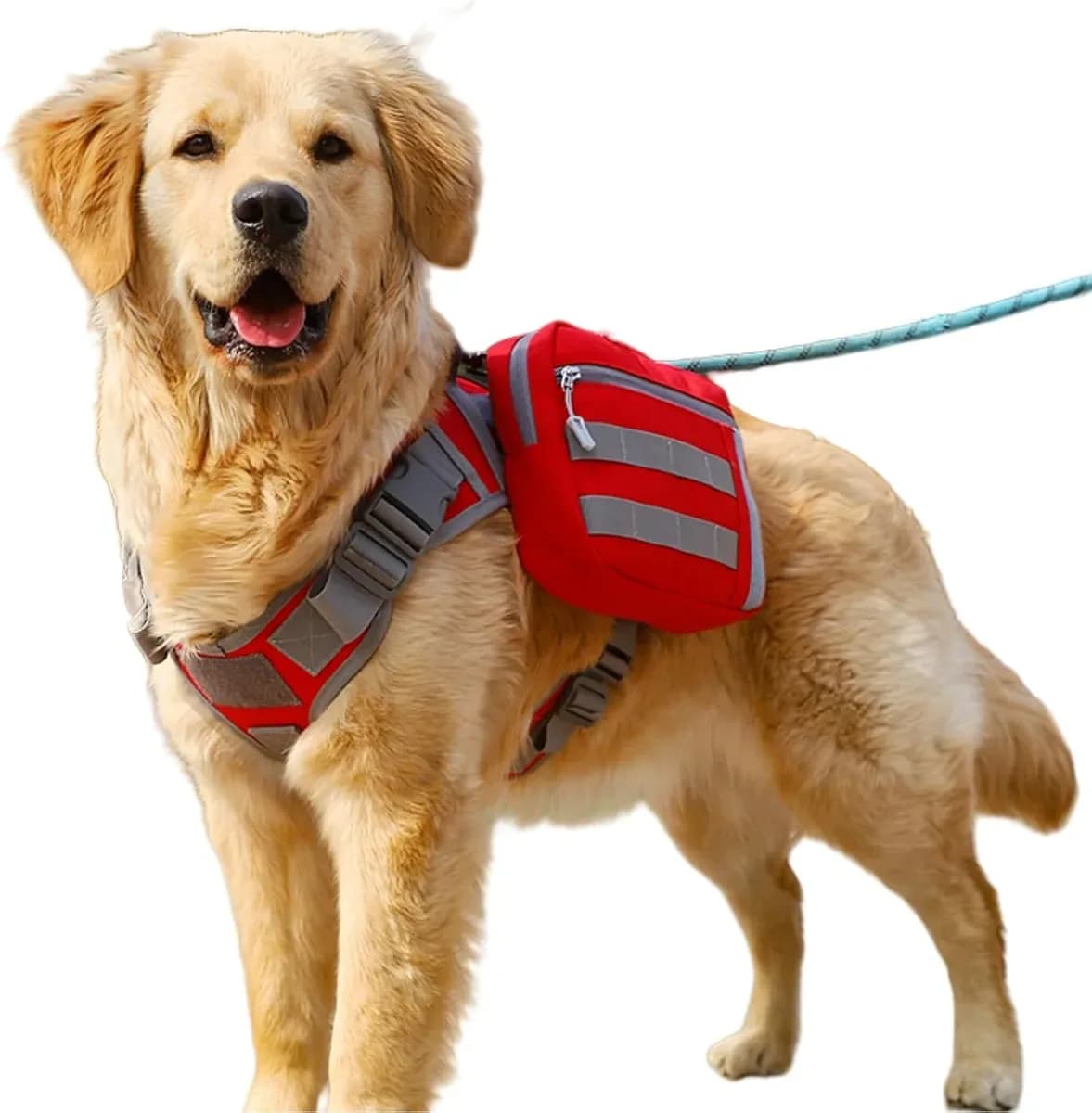 Dog hiking backpack for large dogs in red