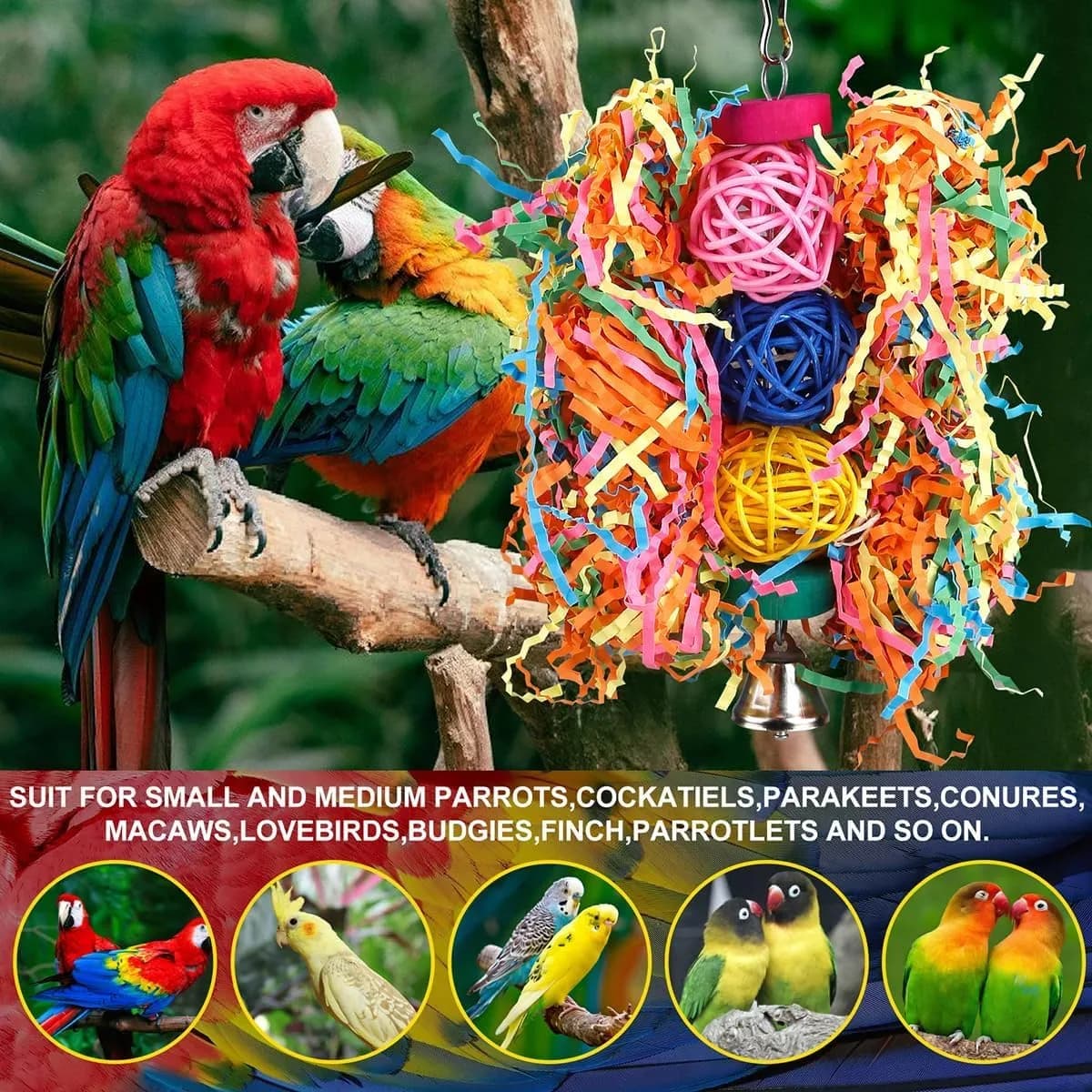 Parrots and cockatiels playing with bird toys for parrots
