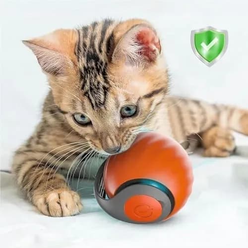 How to switch on and use the automatic cat toy ball