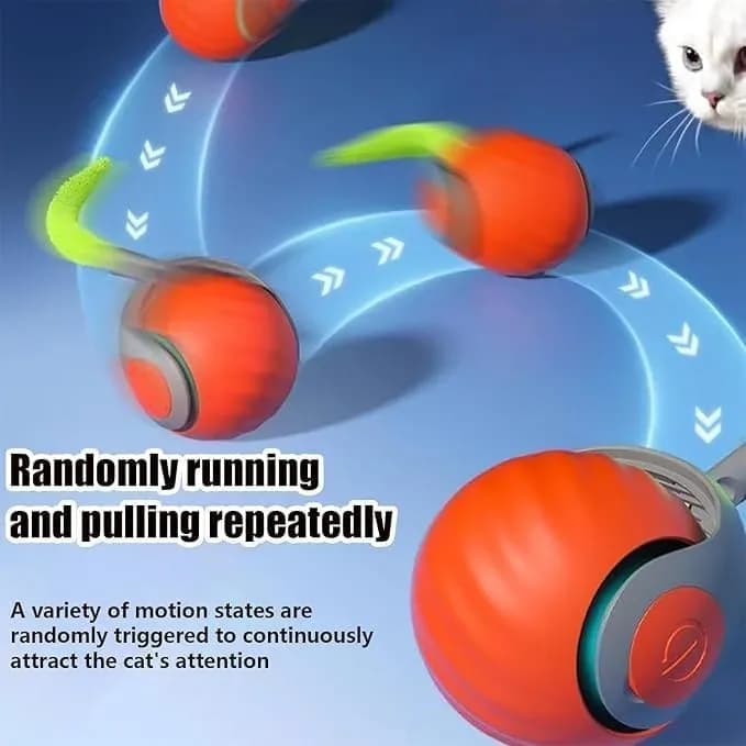 Cat chasing the automatic cat toy ball across the floor