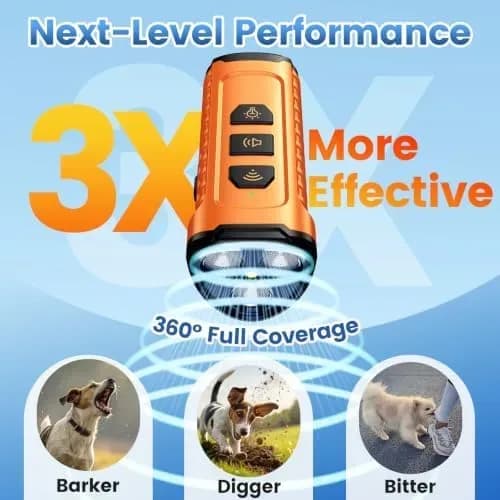 Ultrasonic dog bark deterrent in use during a dog walk