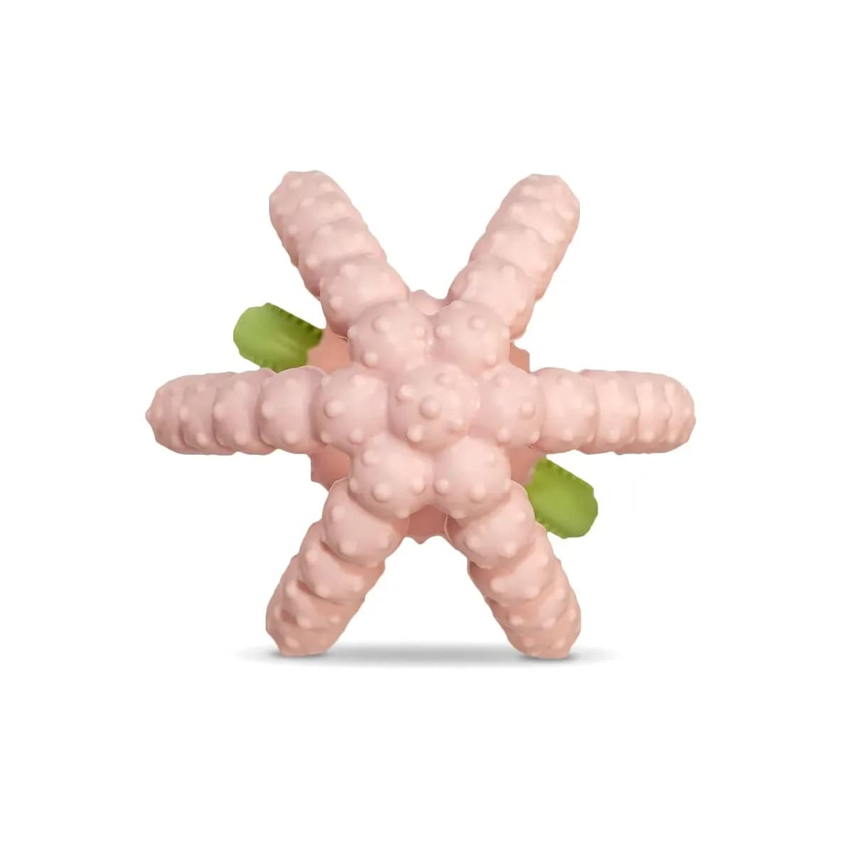 Strawberry teether seen from the top showing its textured leaves