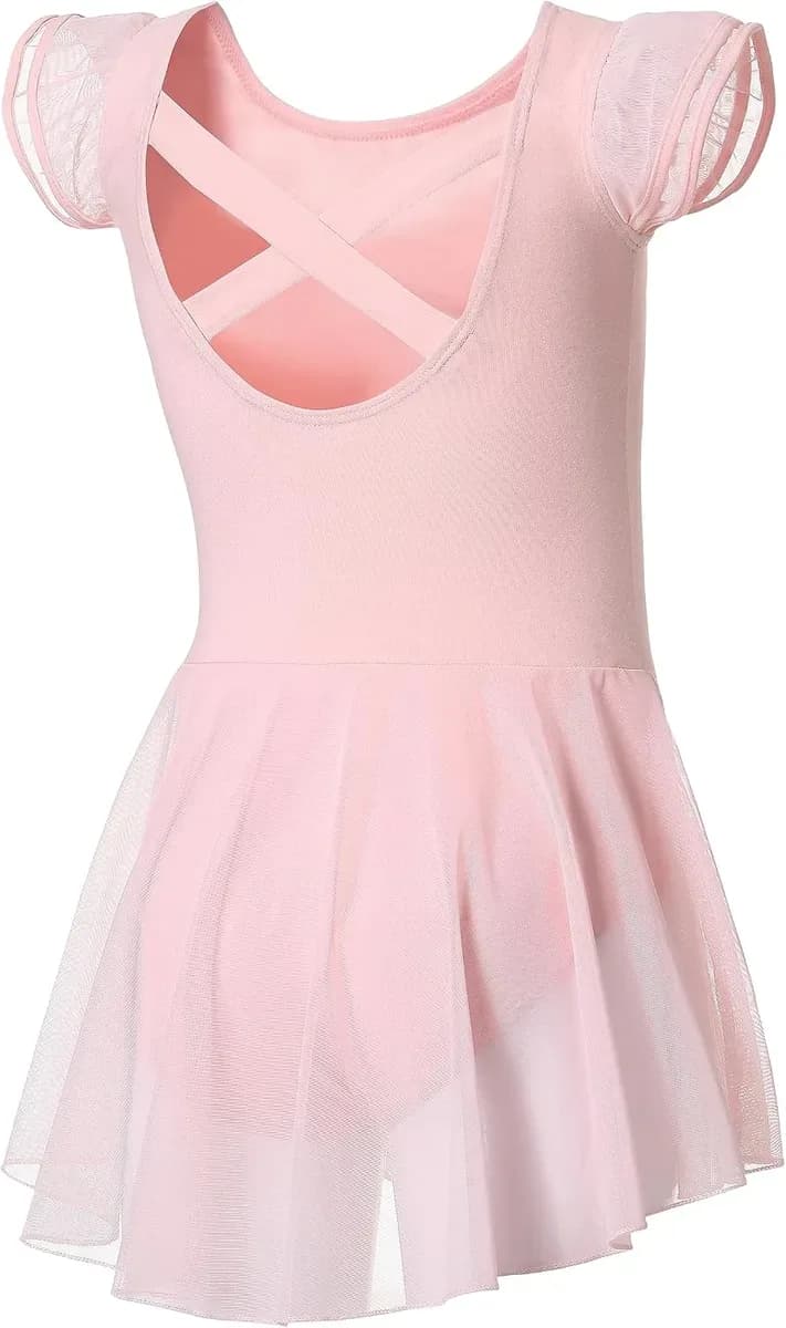 Pink girls ballet leotard with skirt and flutter sleeves, main product shot