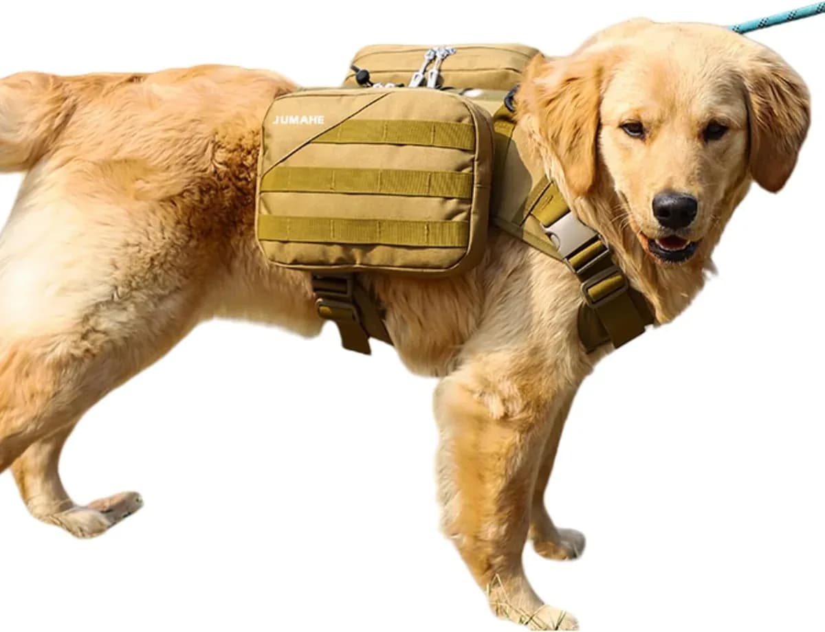 Golden retriever wearing a khaki dog hiking backpack